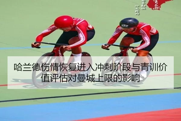 ha-lan-de-shang-qing-hui-fu-jin-ru-chong-ci-jie-duan-yu-qing-xun-jia-zhi-ping-gu-dui-man-cheng-shang-xian-de-ying-xiang-2-321.jpg