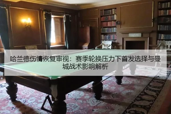 ha-lan-de-shang-qing-hui-fu-shen-shi-sai-ji-lun-huan-ya-li-xia-shou-fa-xuan-ze-yu-man-cheng-zhan-shu-ying-xiang-jie-xi-1-317.jpg