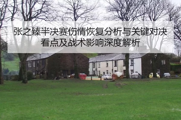 张之臻半决赛伤情恢复分析与关键对决看点及战术影响深度解析